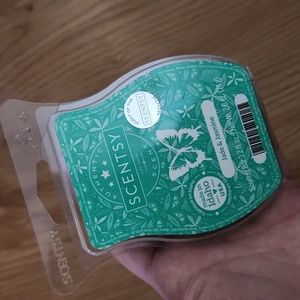 Scentsy Jade & Jasmine Bar